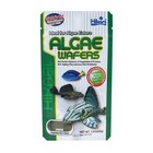 Hikari Algae Wafers