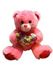 Dan Dee Pink Teddy Bear 2017 18  Plush Text Me I Love You Call Me Heart Candy