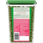 Feline Greenies Adult Natural Dental Cat Treats  Savory Salmon Flavor 9 75oz Tub