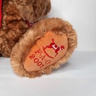 Vintage 2001 Fao Schwarz 24  Large Jointed Brown Classic Teddy Bear Plush Toy
