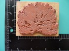 Landscape Shrub Plant Rubber Stamp