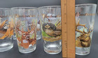 Set Of 8 Vintage Budweiser Pint Beer Glasses Wildlife Series Outdoor Scenes 1999