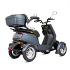 Four Wheel 1000w Travel Mobility Scooter 60v 20ah Battery Motor For Adult Senior