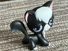 Littlest Pet Shop Lps No   Black   White Angora Puzzle Cat Purple Dot Eyes
