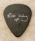 The Skull - Rob Wrong   Authentic  Original And Rare Official Tour Guitar Pick