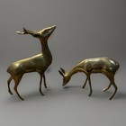 Vintage Mid-century Brass Large Deer Pair  