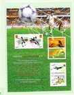 China hong Kong  Fifa World Cup 2002  Chinese Team  Folder  Mnh