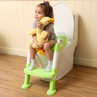 Potty Training Toilet Seat With Step Stool Ladder For Boys And Girls toddler Kid