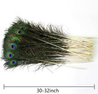 Tharaht 24pcs Peacock Feathers Long Natural In Bulk 32-35 Inch 80-90 Cm For V   