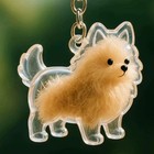 Shape Diy Pet Hair Handmade Storage Keychain Box Dog Transparent Pet Gift Hair