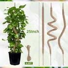 Supoice 3 Pack Moss Pole 25 Inch Monstera Plant 25 Inch  Brown 
