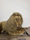 Hansa Toys Extra Large Male Lion 
