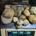 Kentucky Geode Kit Kids 1 5 10 Lb Lot Unopened Break Your Own Quartz Crystals