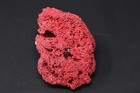 Vintage Red Organ Pipe Coral Natural Cluster Tubipora Musica  6 x5 x5  Very Nice