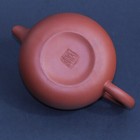     Chinese Yixing Zisha Red Clay Teapot     Duck Motif     Small 3     