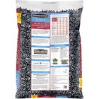 Pennington Select Black Oil Sunflower Seed Wild Bird Dry Feed  40 Lb  Bag