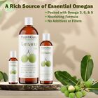 Tamanu Oil Cold Pressed Unrefined Virgin Foraha 100  Pure Natural