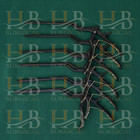 Kerrison Bayonet Bone Spine Rongeur  German Orthopedic Instruments Set Of 6 Pcs