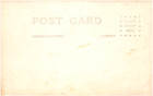 Palm Avenue In Guayaquil Cemetery Ecuador 1930s Rppc Postcard Photo