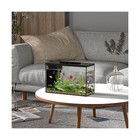 Eraark 5 Gallon Betta Fish Tank Self Cleaning  Aquarium Kit Smart Aquarium Th   