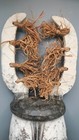 250516 - Nice African Fang Mask With Raffia - Gabon 