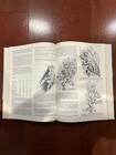 Advanced Dungeons   Dragons Fiend Folio 1981 Tsr Games Hardcover Book 1981