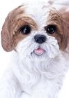 Lying Shih Tzu Brown Puppy Dog Statue - Life Like Figurine Statue Home Garden