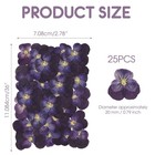 25pcs Dried Violet Flower  Natural Pressed Colorful Real Dry Petals Flowers F   
