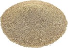 Cz Grain 5 Pounds Premium White Millet Proso Seeds - Bulk Seeds  Bird Feed  Wild