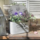 Rustic Wall-mounted Metal Flower Pot Wall Hanging Basket