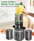 Juicer Machines Cold Press Juicer  Powerful Slow Juicer Ultra Quiet  Easy Clean