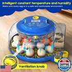 Egg Incubator For Hatching Chicks  18 Eggs Automatic Egg Turner Multifunction