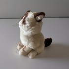 Grumpy Cat 10    Plush Gund 4040133 Collectors Item Excellent  Siamese Persian Cat
