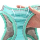 Dog Harness   Leash Set For Small Dogs  Adjustable Puppy Cat Walking Vest Lead
