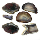 Lot Of 6 Petrified Wood And Banded   Lace Agates