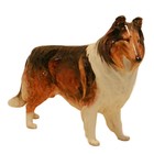 Large Royal Doulton Rough Collie Figurine Hn1057 Ashtead Applause Frederick Daws