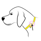 Beaded Genuine Leather Dog Cat Puppy Collar Hand Tooled Crafted Padded