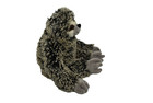Sloth Three Toed  Realistic Cute Stuffed Animal Plush Toy  Kids Gift 20  Pz002