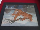 Jungle Book 1967 Shere Khan Disney Production Cel Large Image