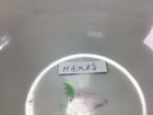 U25 Vintage Antique Chinese Hand Painted Pastels Flowers Porcelain Bowl