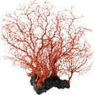 Sea Fan Coral - Red