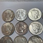 Lot Of 20 Peace Silver Dollar  1 Us Coins Uncertified Ungraded