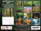 Tree Pathways Nature Calendar 2026 Forest Trees Monthly Wall Calender