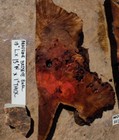 24  Fancy Madrone Birds Eye Burl Wood Slabs Perfect Live Edge Floating Shelves