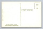 Winter Haven  Fl-florida  Colorful Cypress Gardens Wonderland  Vintage Postcard