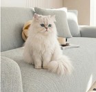 Pebble Weave Stretch Full-encasing Sofa Slipcover 3 Seater Couch Protector Cover