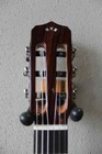 Brand New Cordoba Fusion 12 Nylon String Acoustic electric Classical Guitar