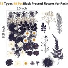 12 Types 48pcs Real Dried Pred Flowers For Resin  Leaf Plant Herbarium