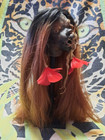 Museum Quality Shrunken  Female Head Replica  Jivaro  Zombie  Voodoo  Hoodoo