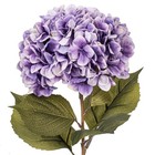 42 X 10 Purple Hydrangea Stem